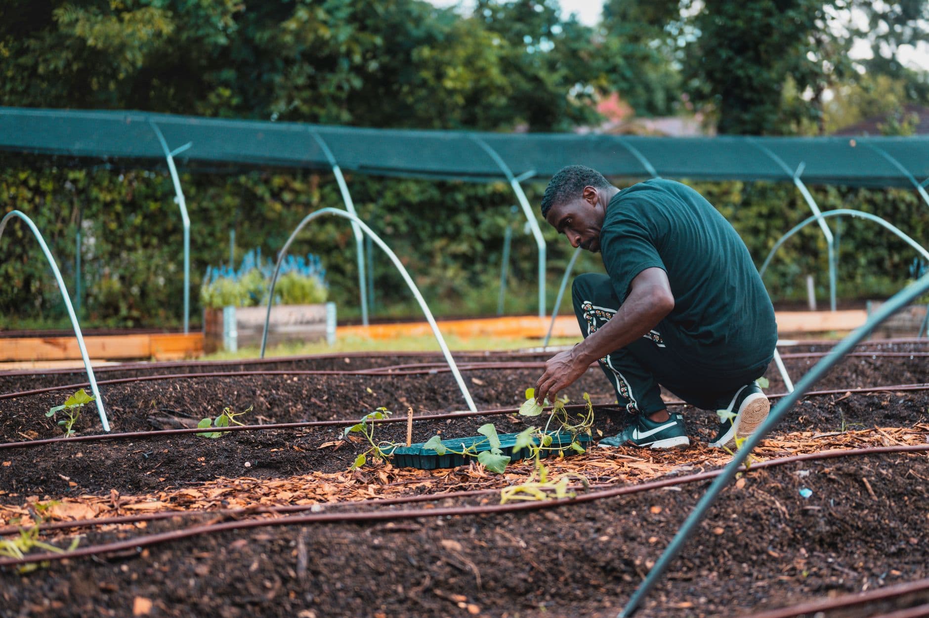 Huerta ecológica del Ashram