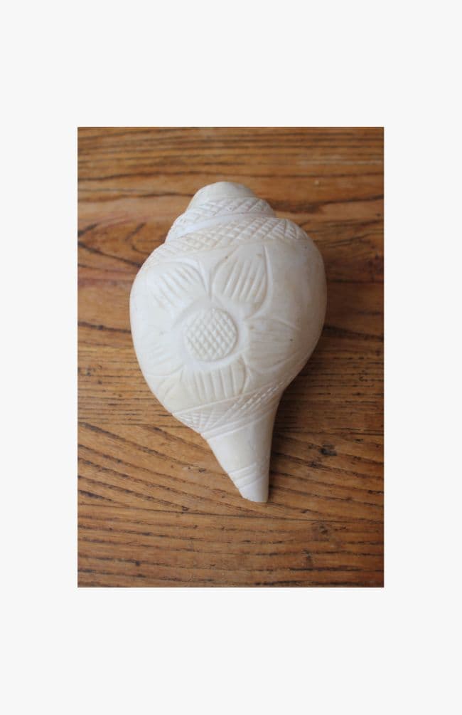 Concha ceremonial blanca grande tallada a mano – 18 × 14,5 cm
